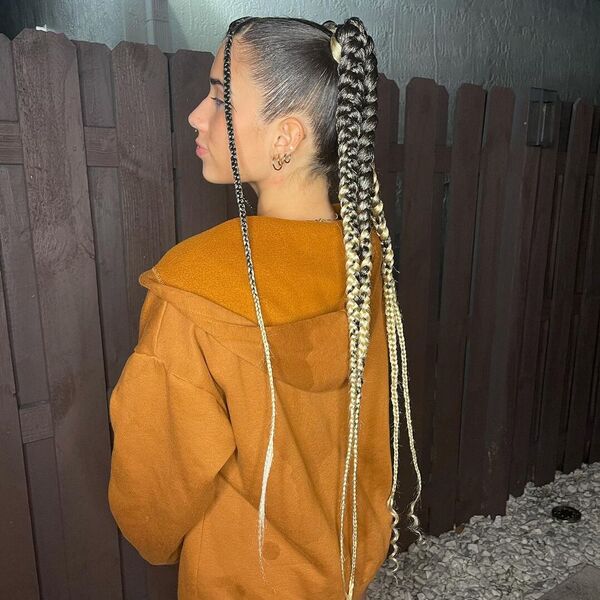 Sleek Dutch Braids High Ponytail - A woman wearing a brown hooded jacket