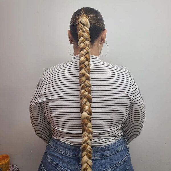 Sleek Extra Length Braided Ponytail - A woman with blonde hair wearing a stripe long sleeve