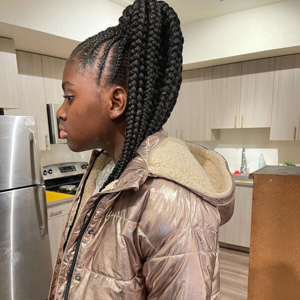 Braids with High Top Bun