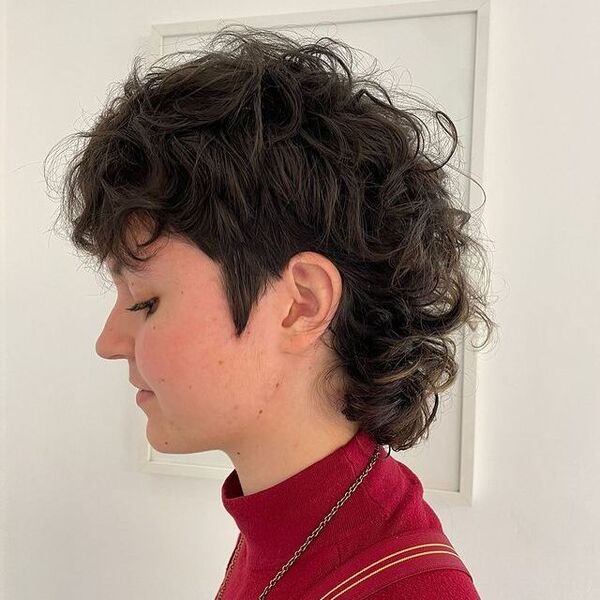 50 Best Curly Mullet Hairstyles for Women RIGHT NOW (with Pic)